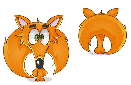 vector colorful character fox front and backのイラスト素材