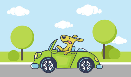 Cute dog driving green car, vector illustrationのイラスト素材