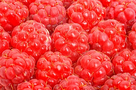 Sweet ripe raspberries close-up