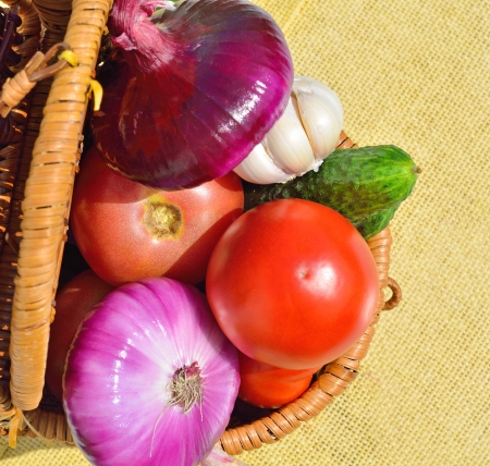 Raw vegetables in the basketの写真素材