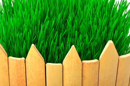 Wooden fence and green grass backgroundの写真素材