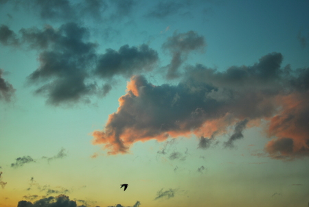 The May skyの写真素材