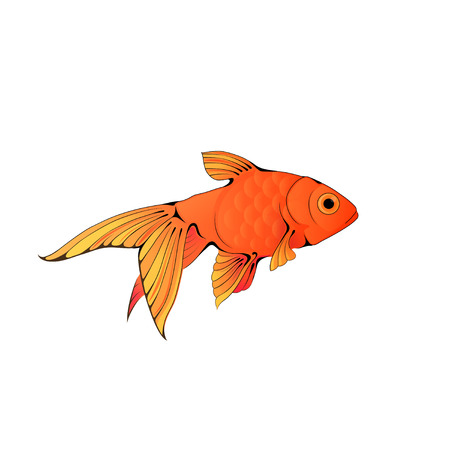 ink-stylized colorful little aquarium fish isolated on whiteのイラスト素材