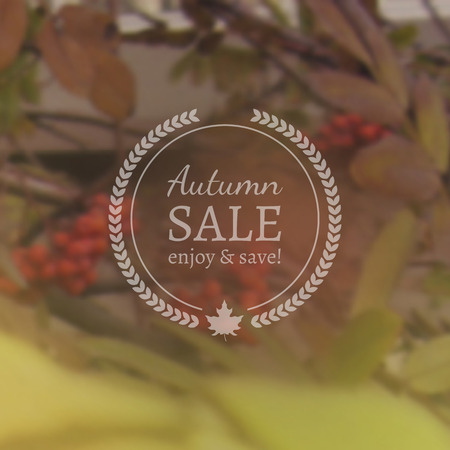 Autumn Sale  on Photorealistic Colorful Blur Backgroundのイラスト素材