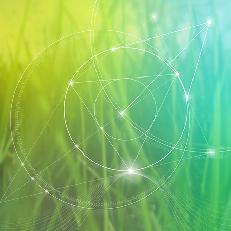 Sacred geometry. Mathematics, nature, and spirituality in nature. The formula of nature. There is no beginning and no end of the Universe, and no beginning and no end of the Life and the Bliss.のイラスト素材