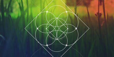Sacred geometry web banner. Math, nature, and spirituality in nature. The formula of nature.のイラスト素材