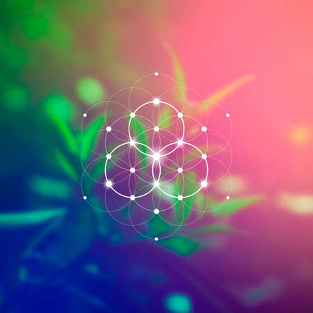 Flower of life sacred geometry illustration with intelocking circles and light dots in front of photographic background. Hipster tree of life sci fi artのイラスト素材
