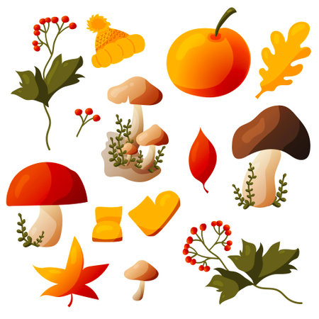 Set of vector autumn fall elementsのイラスト素材