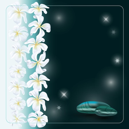 Vector illustration with dark stones and  white flowers  on dark grey background.のイラスト素材