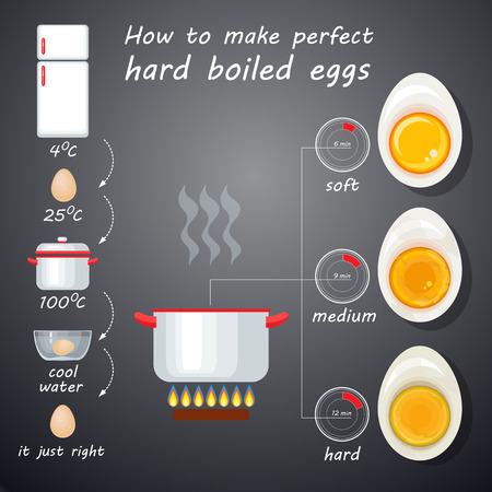 How to make perfect boiled eggs. Vector illustration with egg infographics.のイラスト素材