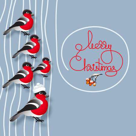 Vector illustration of bullfinches, rowan and handwritten words Merry Christmas on blue background.  Winter greeting card. Template for your design.のイラスト素材