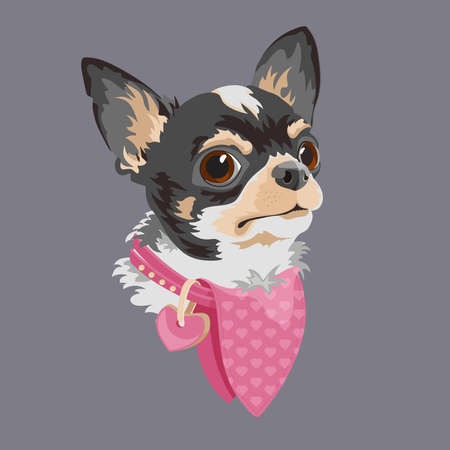 Dog breed Chihuahua. Funny cartoon character. Animal domestic.のイラスト素材