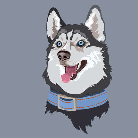 Dog breed Husky. Pet portrait. Vector flat illustration.のイラスト素材