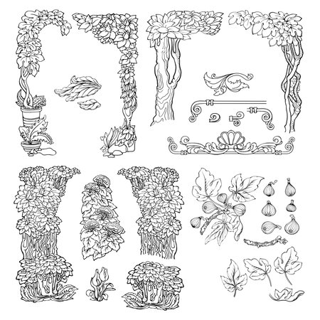 Set of floral decorative elements. Hand drawn exotic plants. Vector.のイラスト素材