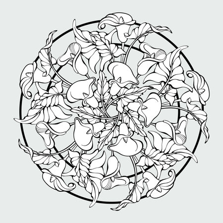 Floral mandala with calla flowers and leaves. Outline. Vector illustration.のイラスト素材