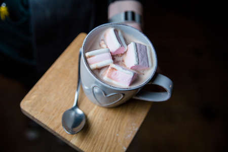 Cocoa with marshmallows. Serving cocoa in a cafe