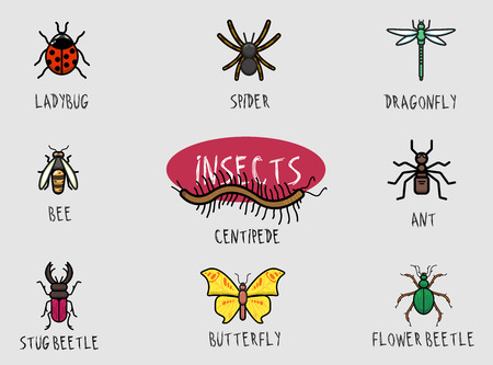 Bright insects with black stroke. Set of 9 illustrations.のイラスト素材