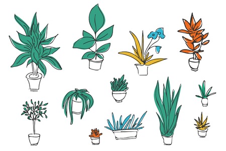 Set of different plants, cactus. Hand drawn vector  illustration.のイラスト素材