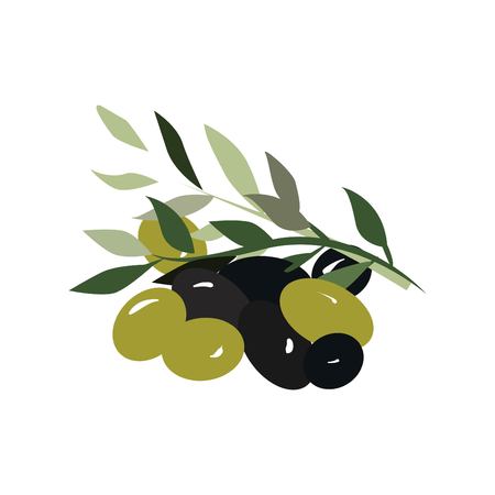 Olive runchdigital isolated on white background. Vector illustration.のイラスト素材