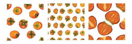 Persimmon hand drawn vector illustration for your design. Seamless patterns setのイラスト素材