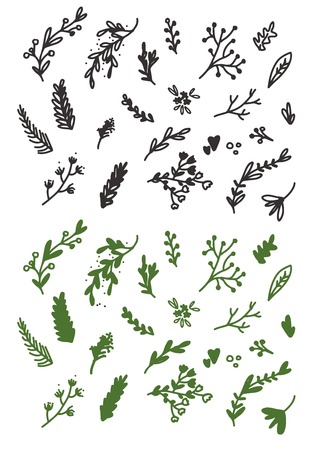 Floral doodle hand drawn elements set for your designのイラスト素材