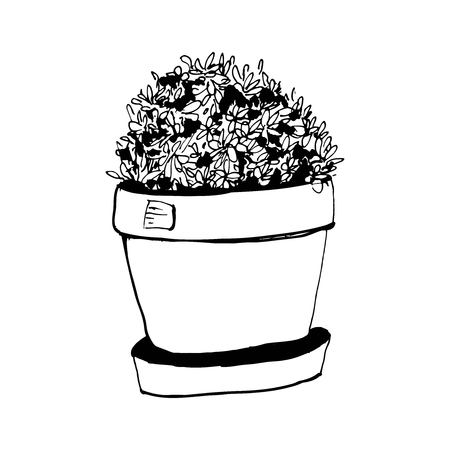 Plants illustrations. Hand drawn object for your designのイラスト素材