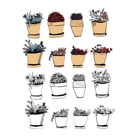 Plants illustrations. Hand drawn object for your designのイラスト素材