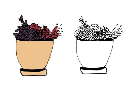 Plants illustrations. Hand drawn object for your designのイラスト素材