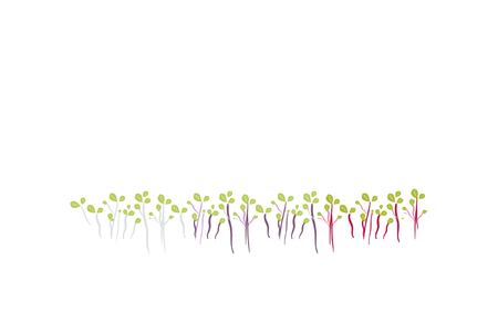 Microgreen logo for your design. Hand drawn illustrationのイラスト素材