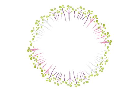 Microgreen logo for your design. Hand drawn illustrationのイラスト素材