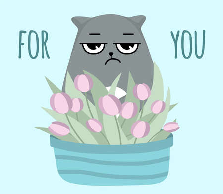 Grumpy cat with flowers. Postcard for you. Spring tulips in a basketのイラスト素材