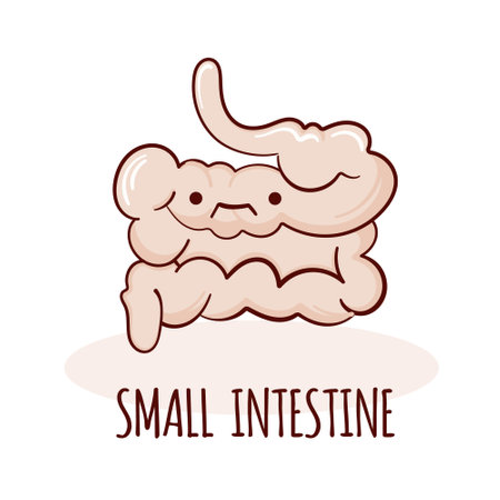 Small intestine character, cartoon mascot with funny face. Small intestine human anatomy training cardのイラスト素材
