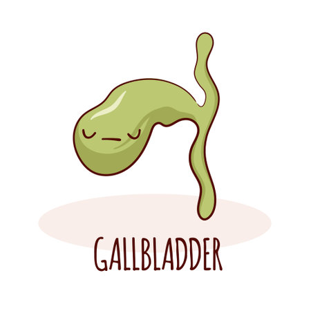 Gallbladder character, cartoon mascot with funny face. Gallbladder human anatomy training cardのイラスト素材