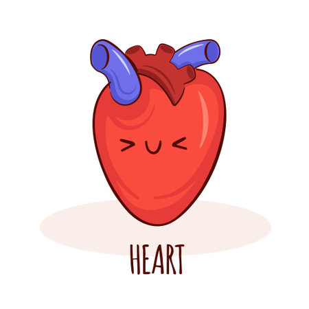 Heart character, cartoon mascot with funny face. Heart human anatomy training cardのイラスト素材