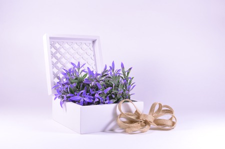 Purple flowers in a decorative ornate white box with a linen bow on a white background