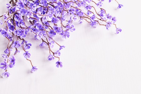 artificial brunch of violet oriental cherry flower in blossom, white background, copy spaceの写真素材