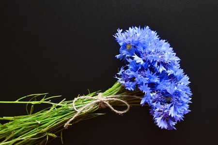blue cornflowers bouquet, tied up with flax rope, over black chalkboard backgroundの写真素材