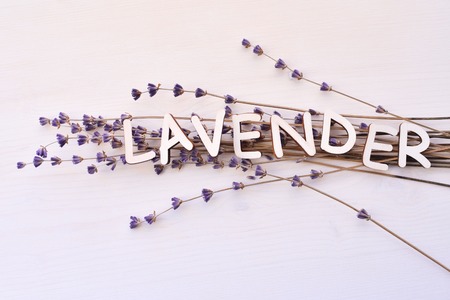 Dry natural lavender flowers with wooden letters over white backgroundの写真素材