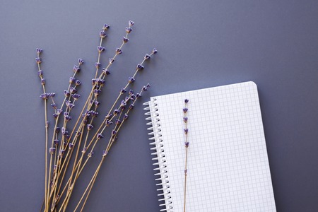 flatlay with opened notebook and lavender dry flowers bunch, top view, copy spaceの写真素材