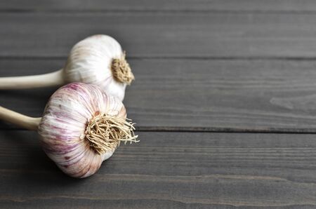 Two dried fresh heads of garlic on old dark rustic wooden background, side view, selective focus, copy spaceの写真素材