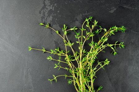 Thyme herb bunch on dark grunge table background.の写真素材