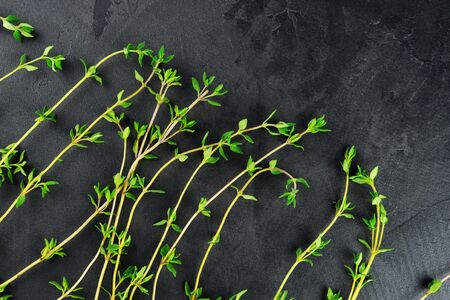 Thyme herb sprigs on dark stone background. Aromatherapy and green living concept.の写真素材