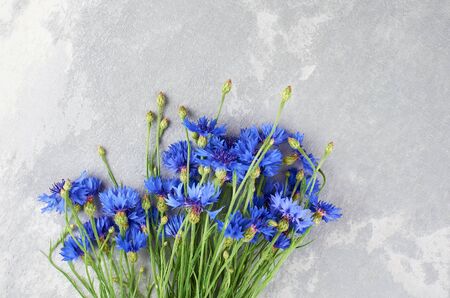 Blue cornflowers bouquet on grey grunge background, copy space, top view. Floral flat lay composition.の写真素材