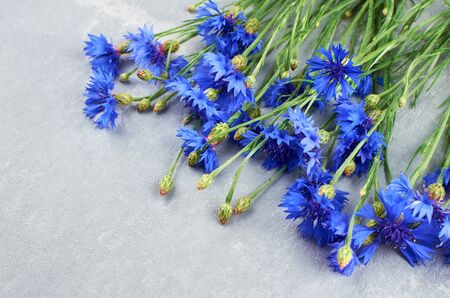 Beautiful blue cornflowers bouquet on light grey background. Summer wildflowers.の写真素材