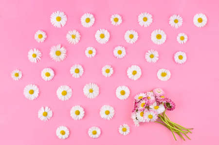 Creative layout of white daisy flowers on pink background. Top view, flat lay, floral composition.の写真素材