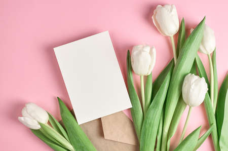Greeting card ith white tulip flowers bouquet on pink paper backgroundの写真素材
