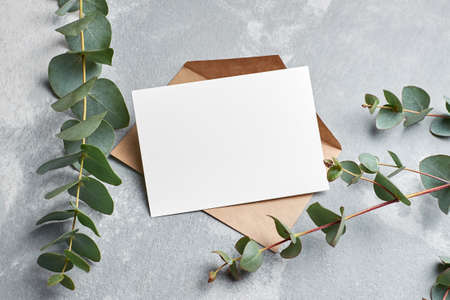 Greeting card with copy space, envelope and eucalyptus twigs on grey concrete backgroundの写真素材
