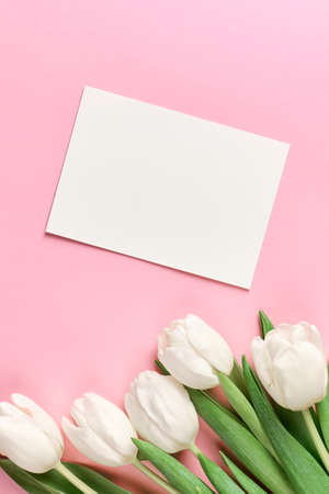Greeting card ith white tulip flowers bouquet on pink paper background, top view, copy spaceの写真素材