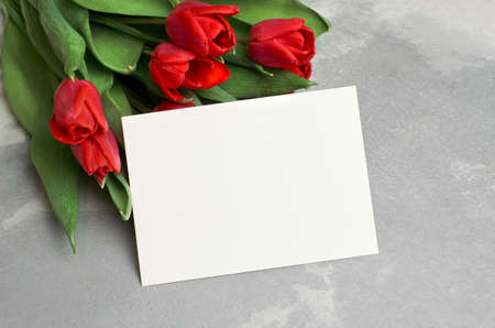 Greeting card with fresh red tulip flowers on grey concrete backgroundの写真素材