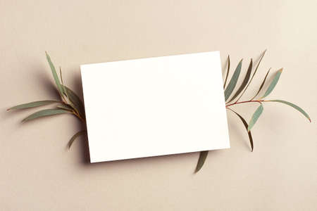 Greeting card or invitation mockup with green eucalyptus twigs, stylish top view mockup with copy...